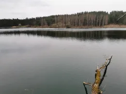 Großer Birkensee (Röthenbach)