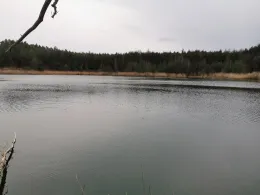 Großer Birkensee (Röthenbach)-1