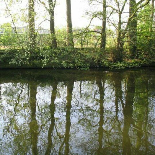 Berkel (Stadtlohn)-4