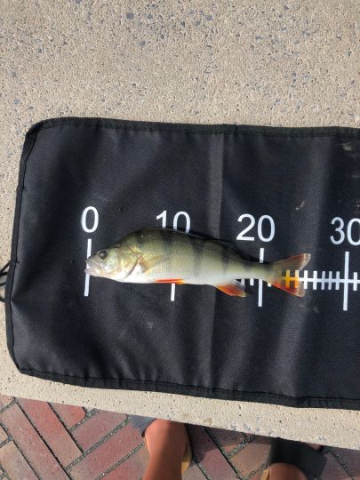 Berkel (Stadtlohn)-1