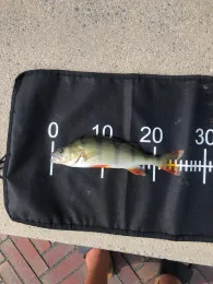 Berkel (Stadtlohn)-1