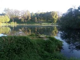 Hofteich (Pfaffroda)-4