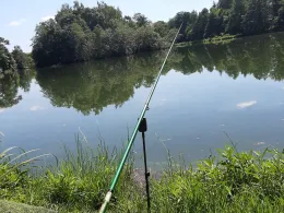 Hofteich (Pfaffroda)