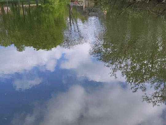 Hofteich (Pfaffroda)-2