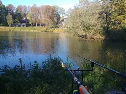 Hofteich (Pfaffroda)-1