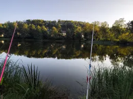 Hofteich (Pfaffroda)-3