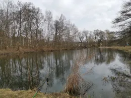 Hofteich (Pfaffroda)-4