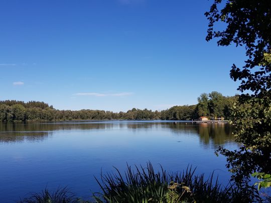 Stadtweiher Leutkirch-1