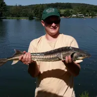 Hahner See (Elbingen)