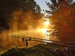 Monrepos See (Ludwigsburg)-3