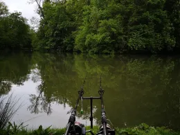 Monrepos See (Ludwigsburg)-1