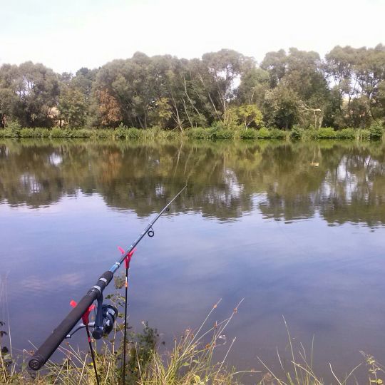 Teichanlage Schweben