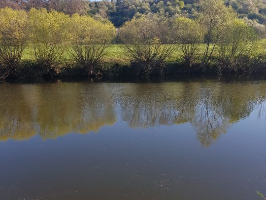 Lahn (Weilburg)-1