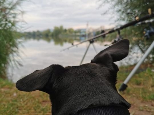 Baggersee bei Sand am Main