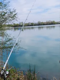 Kiesgrube Lauterbourg-3