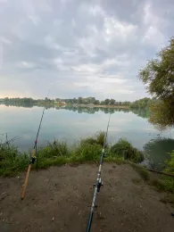 Kiesgrube Lauterbourg-4