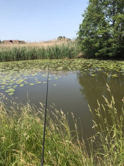 Wieseth (Wiesethbruck)-2