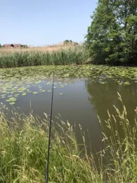 Wieseth (Wiesethbruck)-2