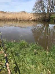 Wieseth (Wiesethbruck)-1