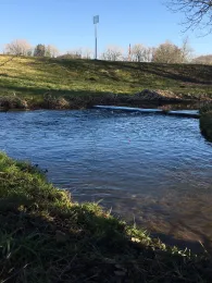 Andelsbach (Denkingen)-1