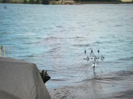 Kiesteich Nordstemmen I-4