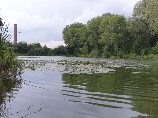 Glashütter Weiher (Stolberg) angeln
