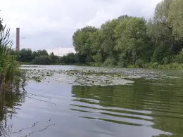 Glashütter Weiher (Stolberg)-1