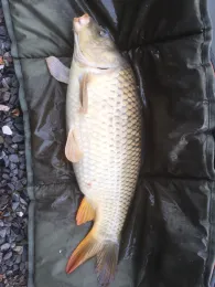 Glashütter Weiher (Stolberg)-4