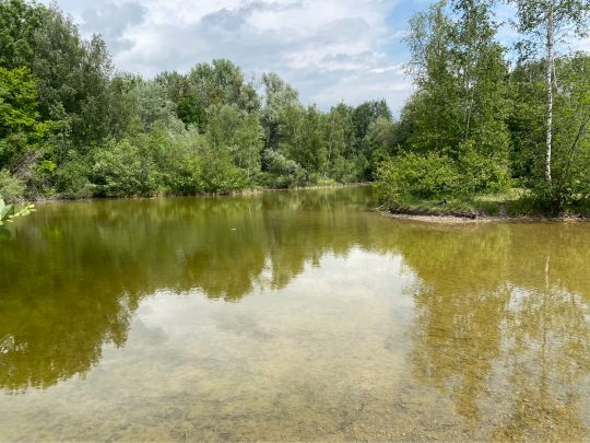 Notzinger Weiher