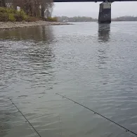 Rhein (Urmitz/Engers)-1