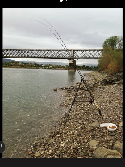 Rhein (Urmitz/Engers)-3