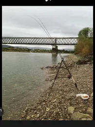 Rhein (Urmitz/Engers)-3