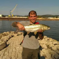 Rhein (Urmitz/Engers)-4