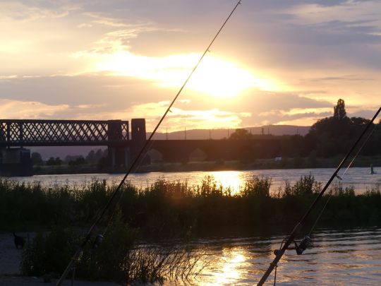 Rhein (Urmitz/Engers)-2