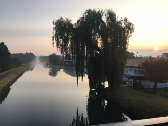 Canal du Rhône au Rhin (Gerstheim)