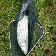 Canal du Rhône au Rhin (Gerstheim)-1