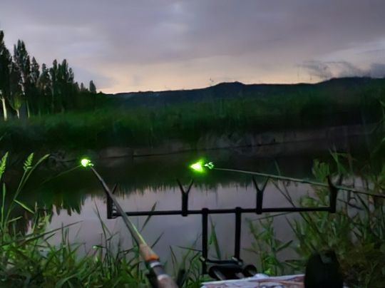 Radolfzeller Aach (Moos)-1