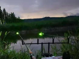 Radolfzeller Aach (Moos)-1