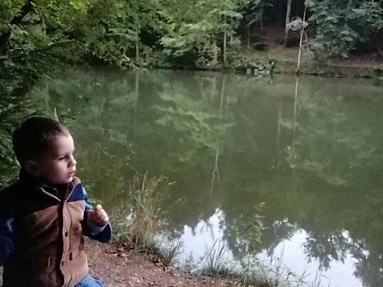 Spiegelweiher (Elkofen)-1