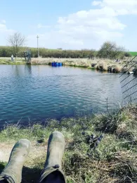 Forellenzucht Heitmeier-2