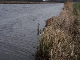 Sauteler Kanal (Moormerland)-2