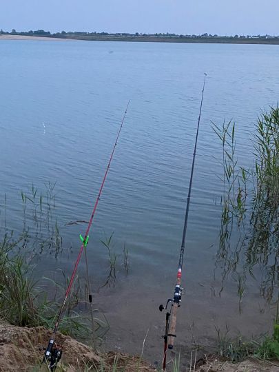 Abbaufeld Elbekies II (Mühlberg)-4