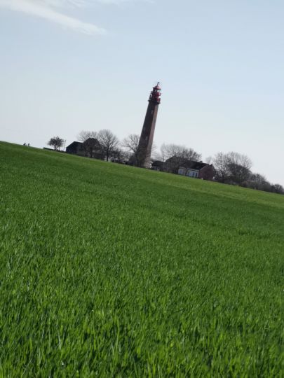 Ostsee (Fehmarn-Flügge)