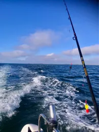 Ostsee (Fehmarn-Flügge)-3