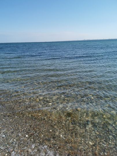 Ostsee (Fehmarn-Flügge)-1