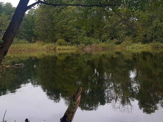 Teufelsee (Jagow)