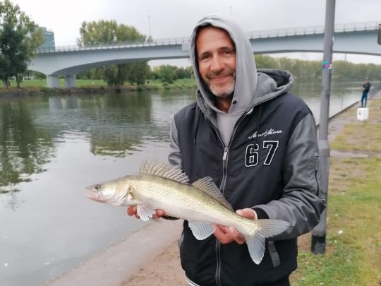 Main (Frankfurt-Höchst)-4