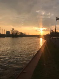 Main (Frankfurt-Höchst)-3