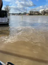 Main (Frankfurt-Höchst)-1