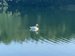 Kleiner Lankesee (Häsen)